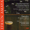 Efran Amaya & The Point Chamber Orchestra: 'Phrantasmagorilla? No! Phantasmagoria' and 'Clepsydra'